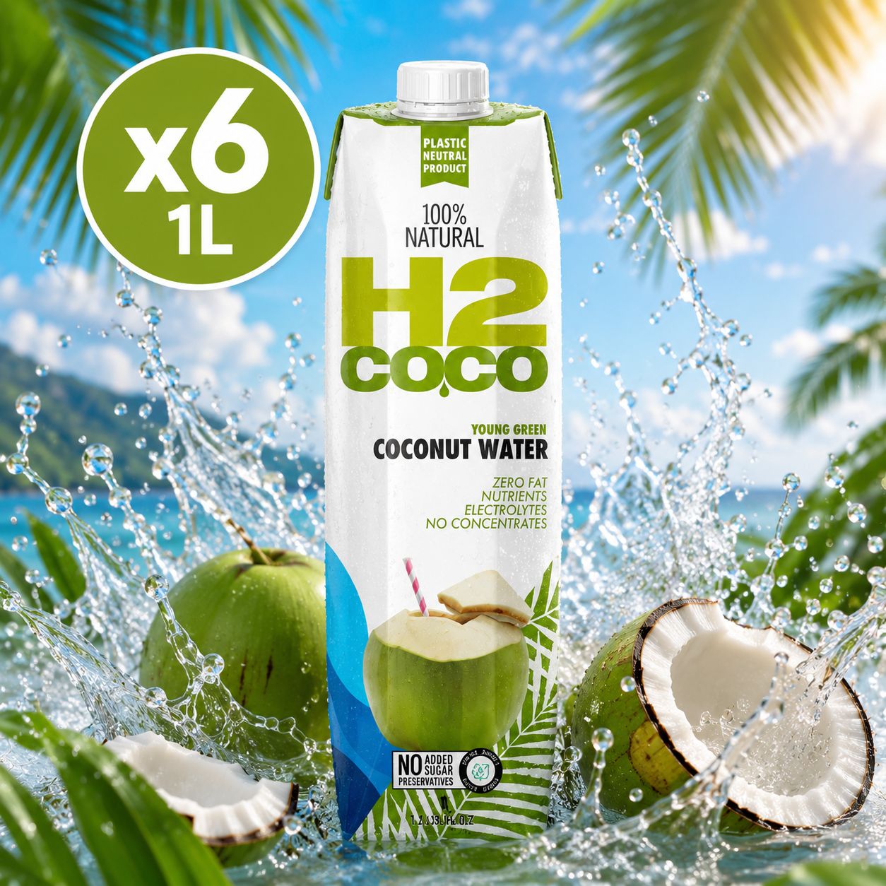 H2 Coconut Water - 1L x6 (BULK)