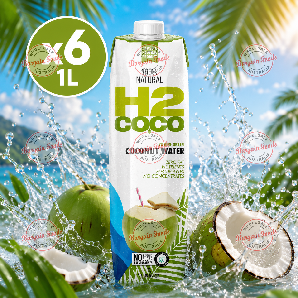 H2 Coconut Water - 1L x6 (BULK)