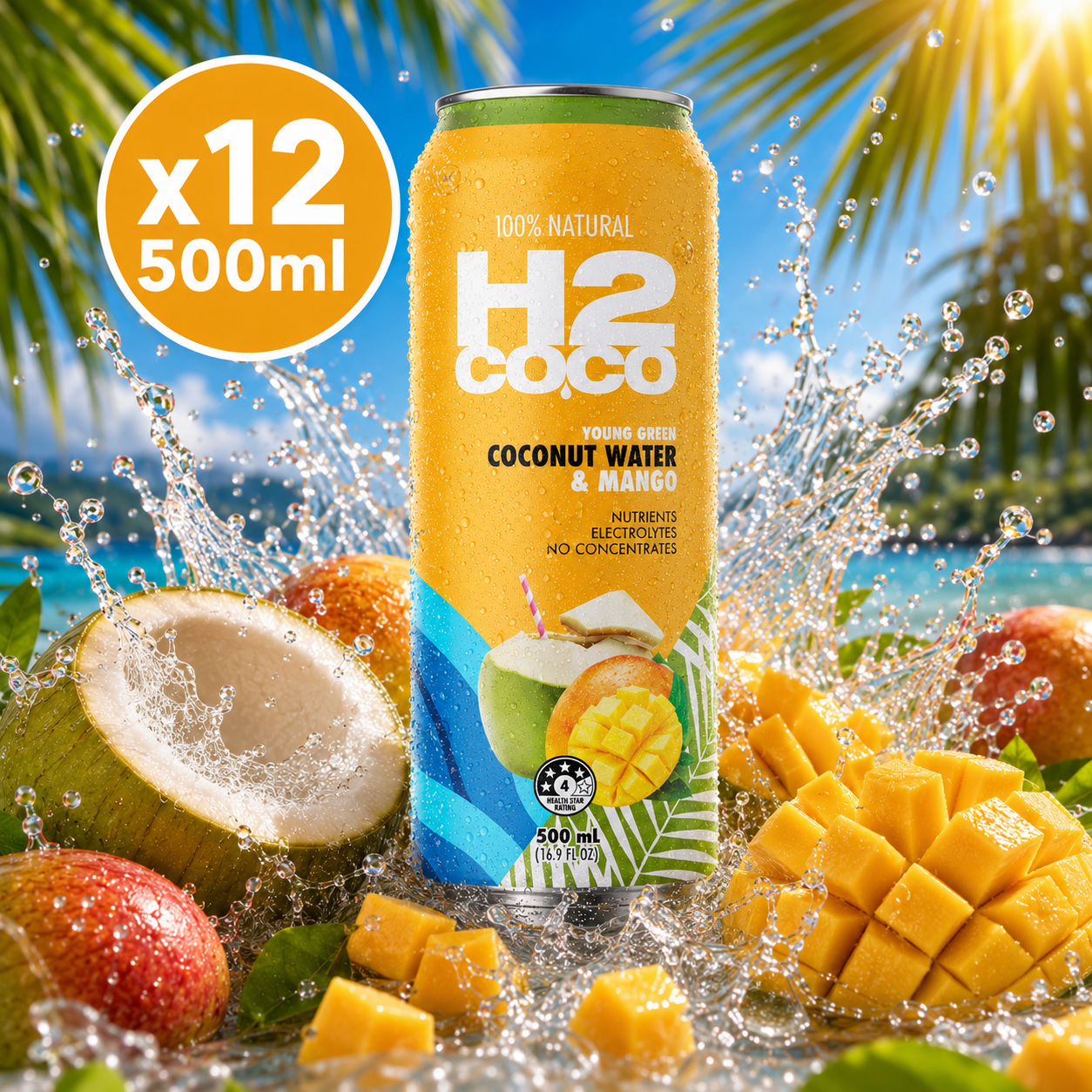 H2 Mango Coconut Flavoured Water - 500ml x12 (BULK)