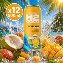 H2 Mango Coconut Flavoured Water - 500ml x12 (BULK)