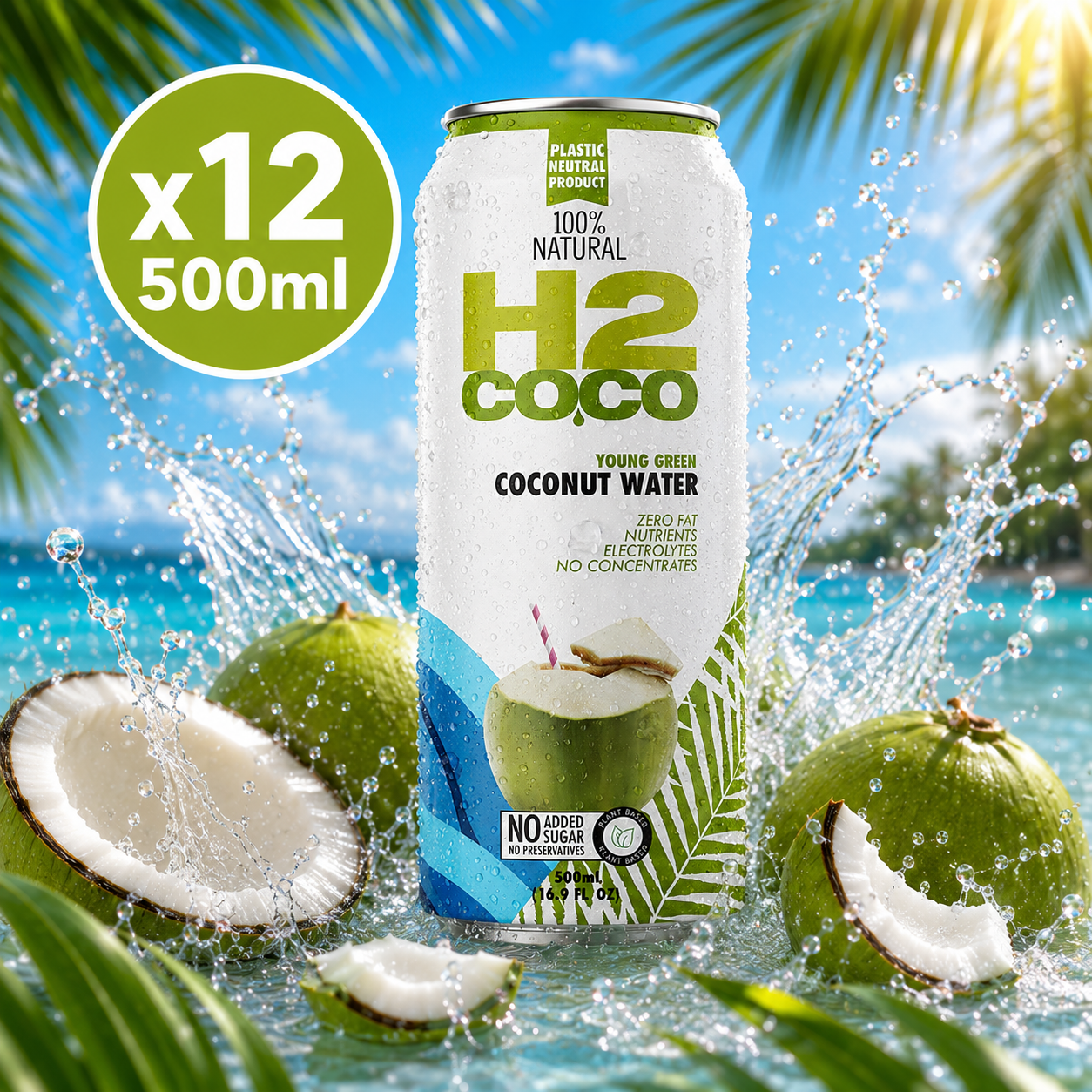 H2 Coconut Water - 500ml x12 (BULK)