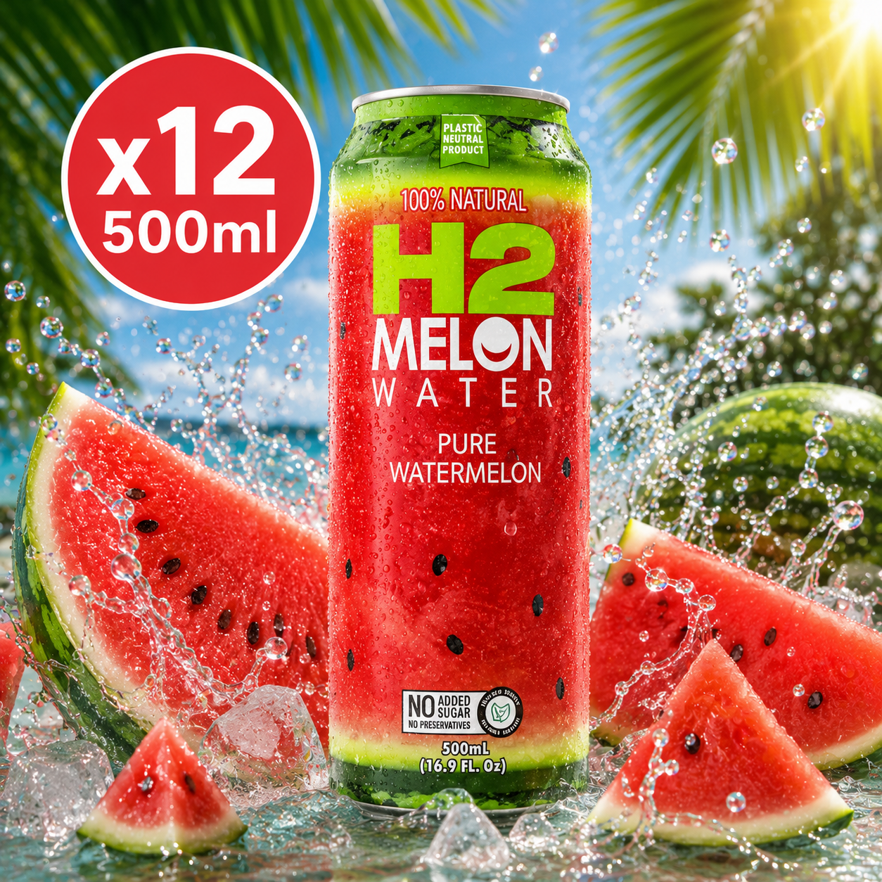 H2 Melon Water - 500ml x12 (BULK)