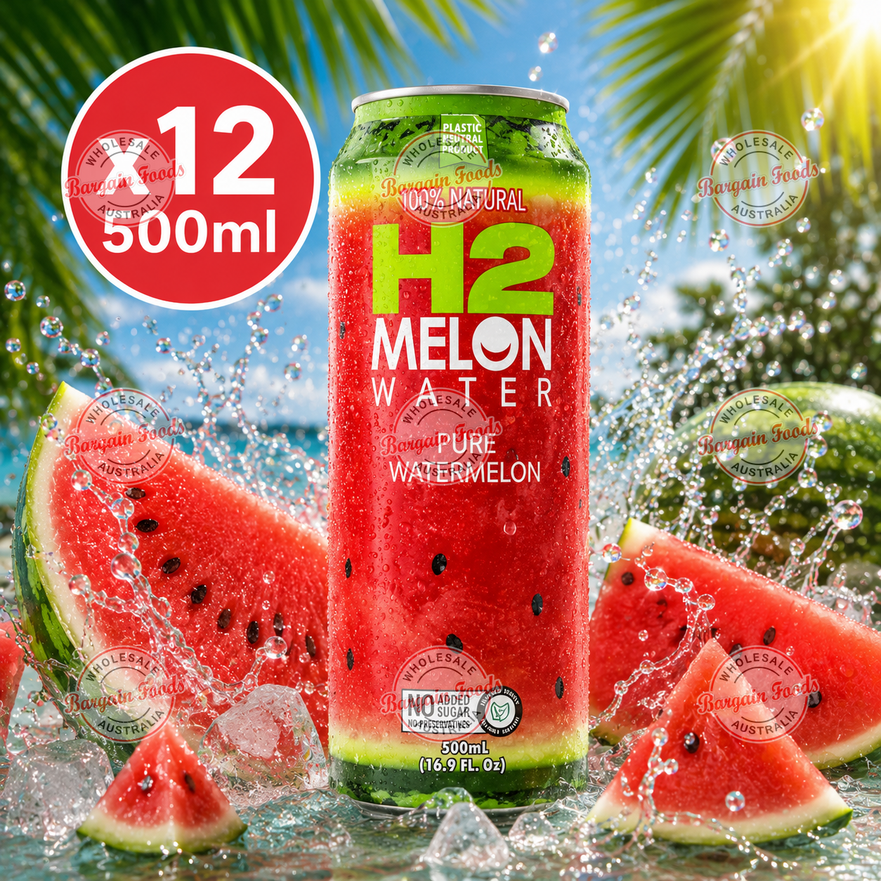 H2 Melon Water - 500ml x12 (BULK)