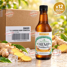 Tea Gardens Hemp Ginger Kombucha - 350ml x12 (BULK)