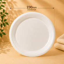 EP Plastic Dinner Plates - 500pcs 20x25 (BULK)