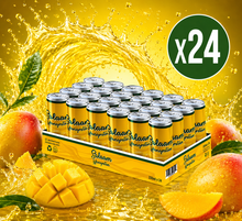 Salaam Mangostan Drink Box - 250ml x24 (BULK)
