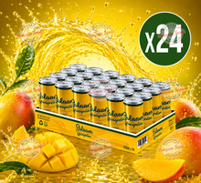Salaam Mangostan Drink Box - 250ml x24 (BULK)